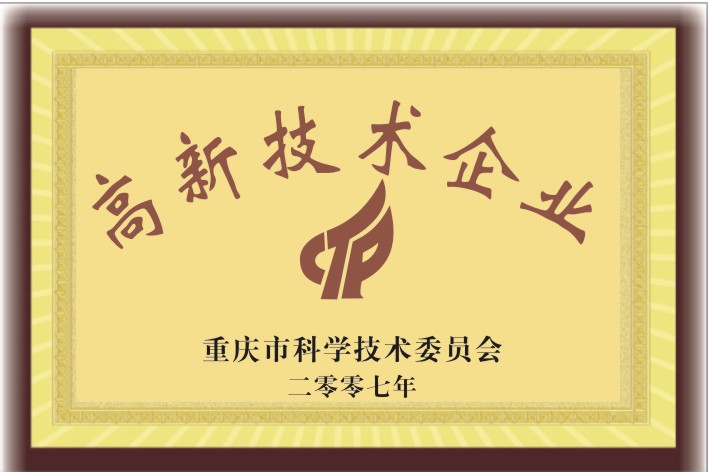 高新企業(yè)2007年