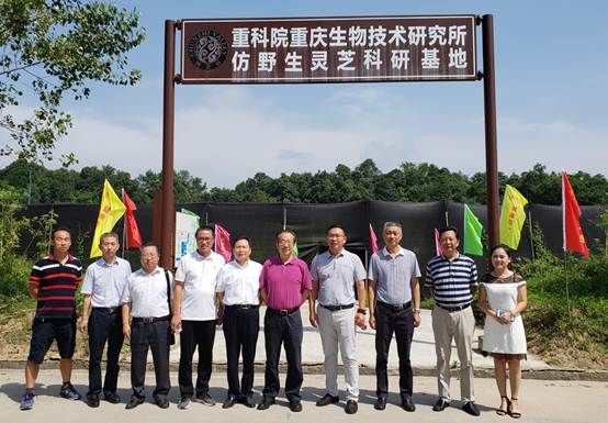 院黨委書記何平調研生物所長壽區(qū)靈芝科研基地